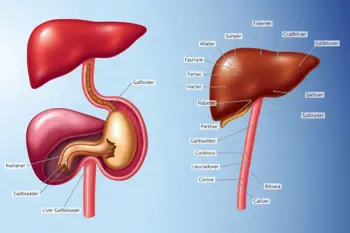 Warning signs of gallstones: Clinical analysis of symptoms and diagnostic indicators