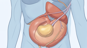 Gallbladder Attack Symptoms: Clinical Signs, Warning Signals, and Evaluation
