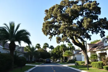 Best Florida towns for purchasing a home: An analytical review of current market trends and selection criteria