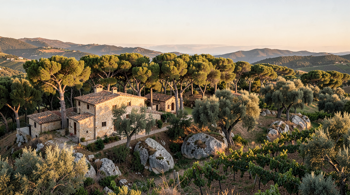 7 agriturismi più affascinanti della Sardegna: analisi tra paesaggio, ospitalità e tradizioni