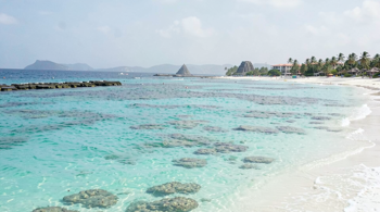 Reliable all-inclusive Riviera Maya travel deals for 2026: a factual market report and itinerary planning checklist