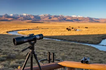Analyzing the 3-day wildlife safari in Yellowstone with guided ranger tours 2026: An Objective Industry Field Guide