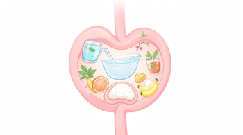 Home Care for a Sensitive Stomach: A Comprehensive Analysis of Digestive Management Strategies