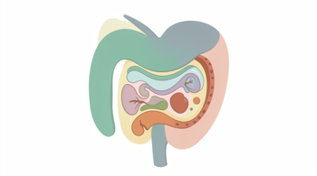 Natural remedies for managing digestive discomfort: Clinical perspectives and evidence-based approaches