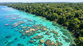 9-day Great Barrier Reef and Daintree Rainforest package with hotel and tours 2026: A Complete Traveller's Briefing