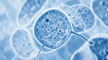 Bienfaits du magnésium sur le métabolisme : une analyse scientifique des mécanismes et des preuves cliniques
