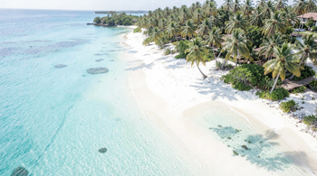 10-day Caribbean travel package with flights included 2026: A Strategic Analysis of Market Availability