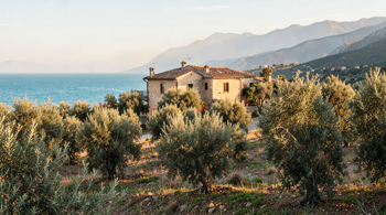 7 giorni di vacanza in agriturismo in Calabria: guida ragionata tra mare, borghi e aree naturali