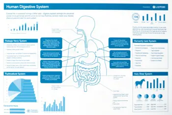 Warning signs of Crohn's disease: A comprehensive analysis of clinical indicators and symptoms