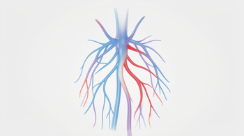 Natural ways to improve daily circulation: A comprehensive clinical overview of vascular health maintenance
