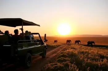 South Africa Vacation Tours: An Objective Analysis of Regional Itineraries and Logistical Frameworks