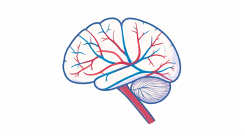 Warning signs of stroke: A Clinical Guide to Recognizing Emergency Symptoms