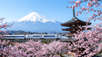 14-day Japan discovery tour with flights included 2026: An In-Depth Report on Travel Infrastructure and Market Standards