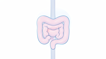 Warning signs of Crohn's disease: An analytical overview of clinical symptoms and diagnostic complexities