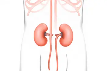 Warning Signs of Kidney Failure: A Comprehensive Analysis of Clinical Symptoms and Indicators