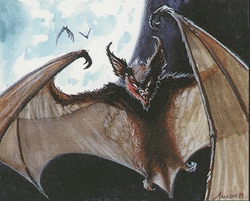 Bats preview
