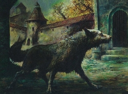 Elves with Wolves; Ravnica Primary preview