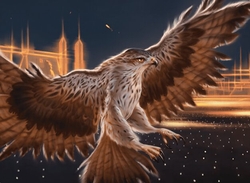 senu the eagle of siwa preview