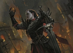 Knights orzhov preview