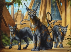 Cat Tribal preview