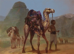 Hector's camels preview