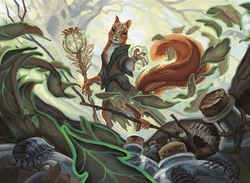 Cheap Standard Squirrels preview