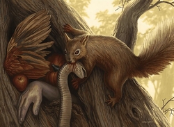 Squirrel Pauper preview