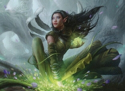 EDH Lands (Rootpath Purifier core) preview