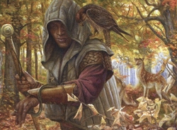 Elves preview