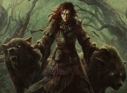 Faldorn a storm of wolves preview