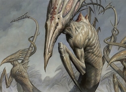 Slivers Pauper preview