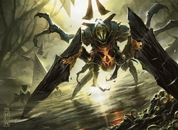 Thousand Cuts preview