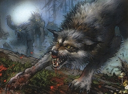 Werewolf Deck preview