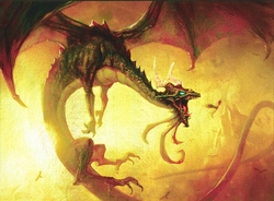 Bolas preview