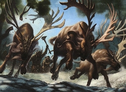 Elk Tribal preview