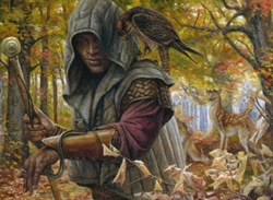 Elves preview