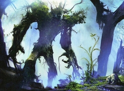 2014 Forest/Plains Deck preview