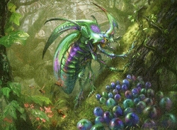 insect druid preview