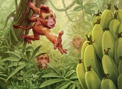 monkey banana preview