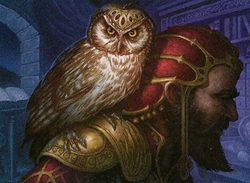 Pauper Delver preview