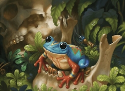 Time For Frog (Sultai Enchanting Frogs) preview