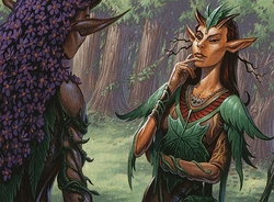 Elves preview