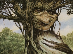 TreeFolk Pauper