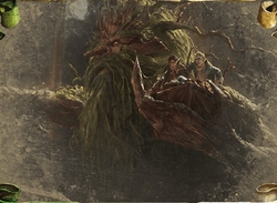 Tree Beard preview