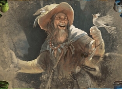 Radagast, Wizard of Wilds preview