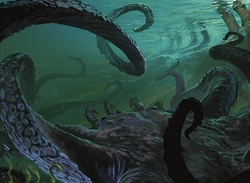 krakens preview