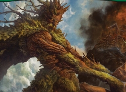 Fangorn, Tree Shepherd preview