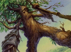 Pauper Treefolk