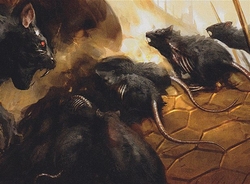 Legacy rats preview
