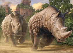 Temur Rhinos preview